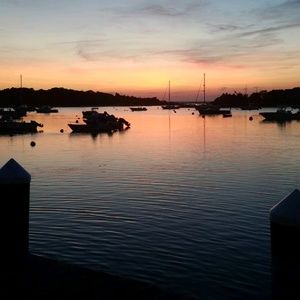 Meet your Posher, Ronalee